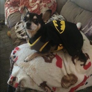 Meet your Posher, Rhonda